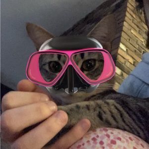 Meet your Posher, Arista